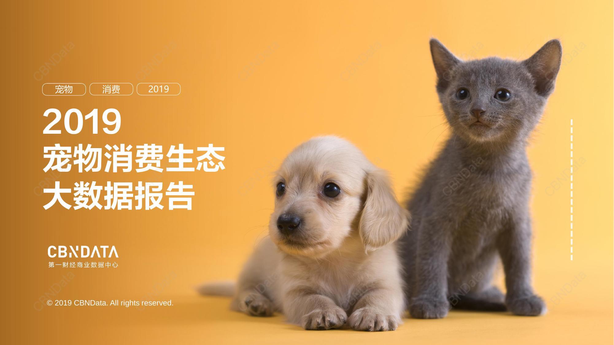 930-1565597639-01_watermarked.jpg