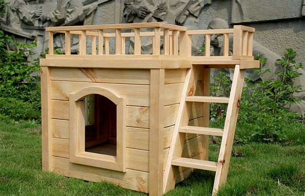 tn_hardoly-dog-house-Indoor-02_01.jpg