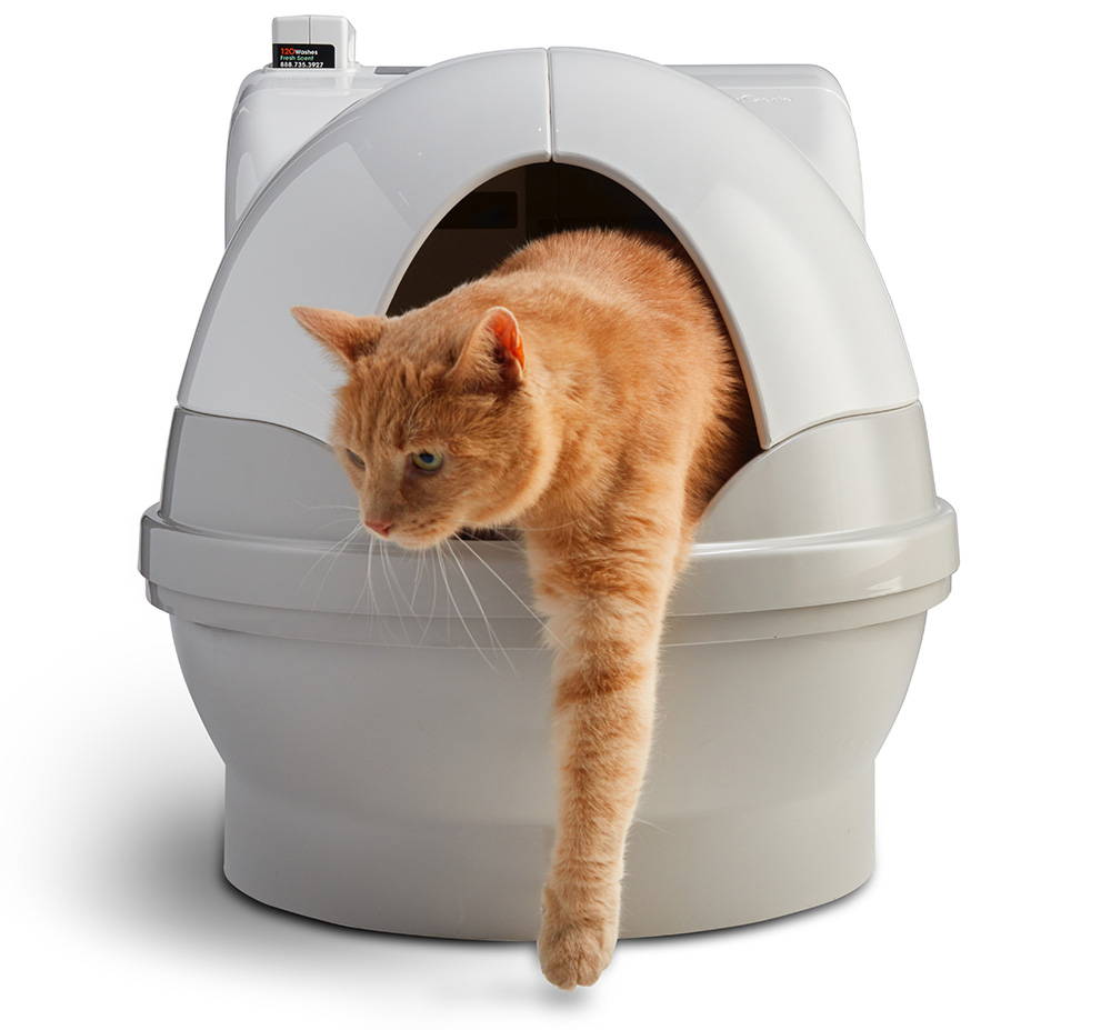 CatGenie.jpg