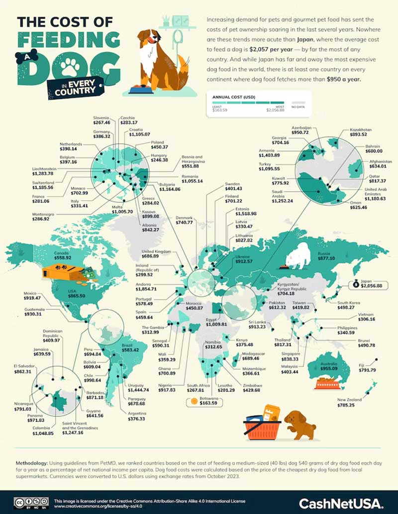 The_Cost_of_Feeding_a_Dog_in_Every_Country.jpg