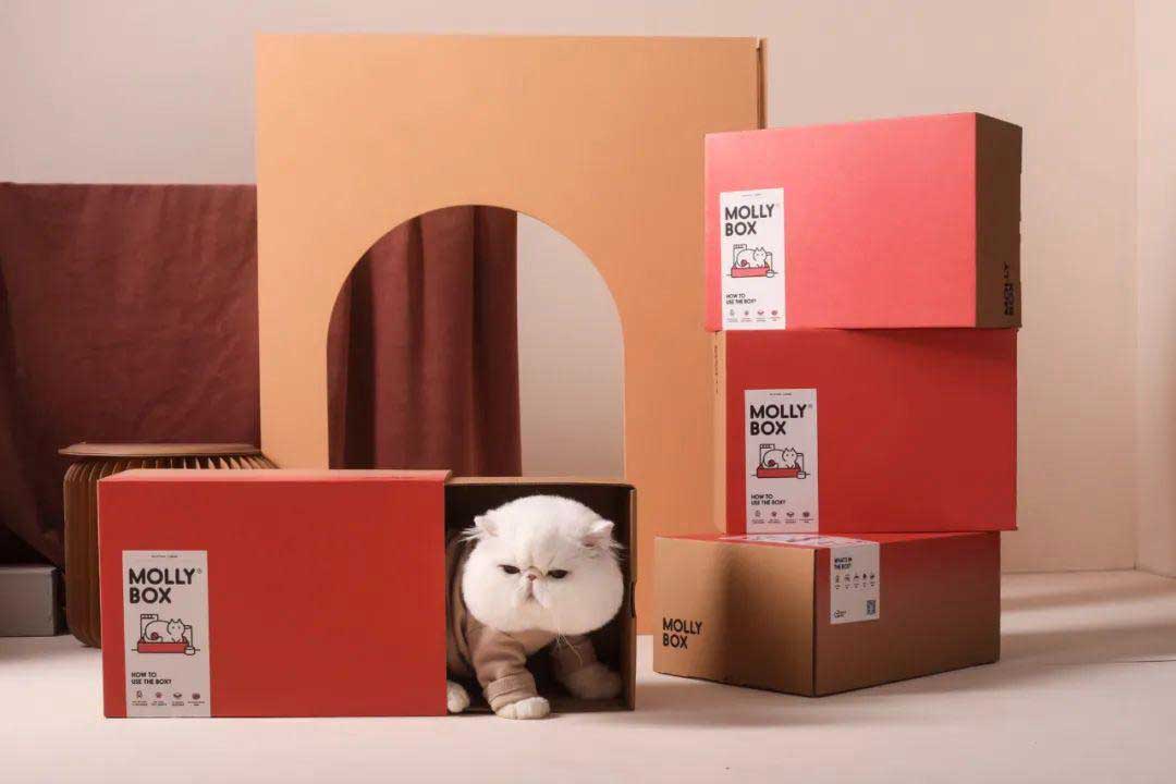 cc7d62d5-f978-4dc1-9b2d-d3ace731a243.jpg cc7d62d5-f978-4dc1-9b2d-d3ace731a243.jpg