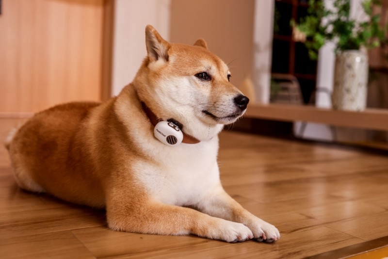 圖片說明